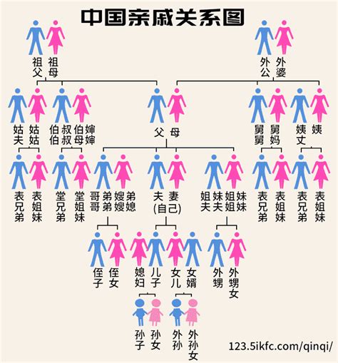 長輩關係圖|親戚關係圖｜稱呼搞清楚！姨媽姑姐輩分關係+4大AP